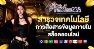 windragon239